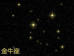 今日运势：金牛今日运势苏珊米勒（金牛今日运势座今日运势）