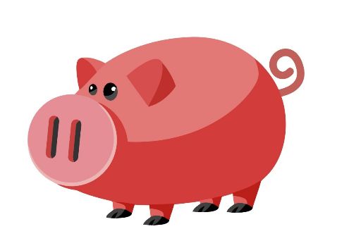 属猪近期情感运势运程图（属猪的人今年爱情运势）
