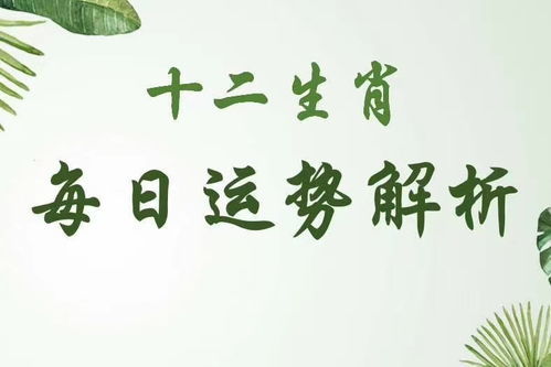 感情运势：感情运势怎么样才算好（感情运势算命）