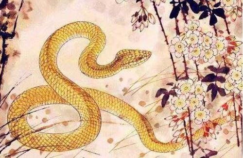 今日运势：属蛇今日运势 方向（属蛇今曰运势查询）