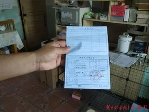 没房产证怎么接电