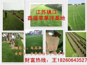 绿化苗木求购信息网
