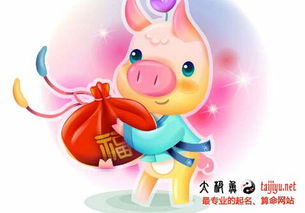 宝宝取名：猪年末尾的宝宝怎么取名（属猪年尾出生好吗）
