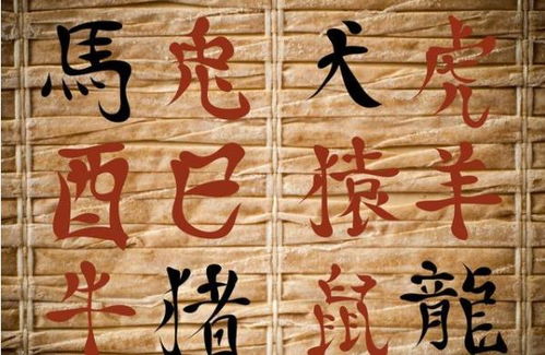 八字合婚：五男两女命八字合婚好吗（五男二女好福命）
