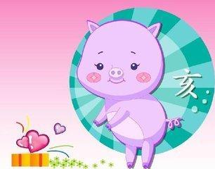 八字合婚：猪和狗八字合不合婚姻好（猪和狗合不合适婚姻）