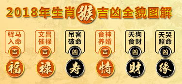今日运势：丙申年生人今日运势（丙申猴今日财运）