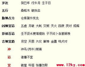今日运势：生肖兔今日的运势（生肖兔今日运势水墨先）