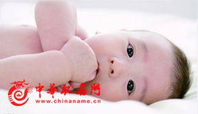 宝宝取名：虎宝宝要怎么取名才好听（虎宝宝取名字大全集）