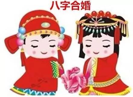八字合婚：属兔八字最合婚吗男孩子（属兔的男孩找对象属啥的好）