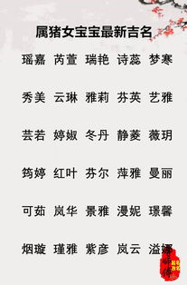 宝宝取名：兔年宝宝取名贾字怎么取（贾能取什么名字）