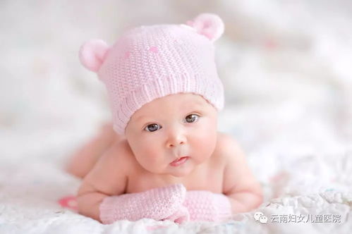 宝宝取名：六月兔宝宝怎么取名（农历六月出生的兔宝宝）