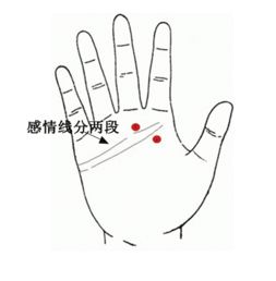感情运势：男人手相看感情运势图解（男人手相看感情运势图解大全）