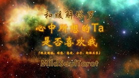 感情运势：同事占卜感情运势怎么看