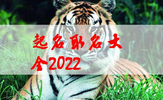 宝宝取名：虎宝宝取名泽怎么样（泽字取名牛宝宝）
