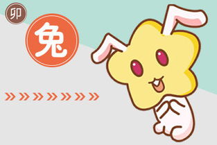 今日运势：今日兔冲鸡运势（今天兔冲鸡是什么意思）