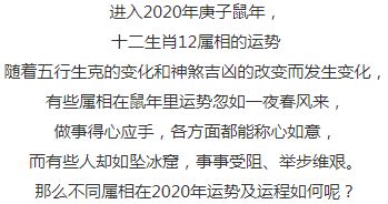 感情运势：出生日期看感情运势（出生日期看爱情）