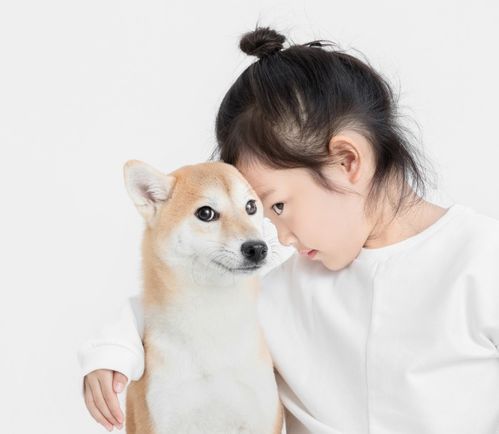 宝宝取名：狗宝宝姓杨怎么取名（杨姓狗狗名）
