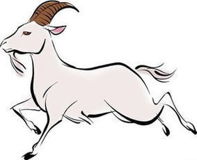 感情运势：69属羊人今年感情运势（属羊69年今年多大）