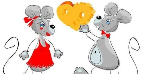 八字合婚：猴男兔女八字合不合婚姻（猴男兔女八字合不合婚姻呢）