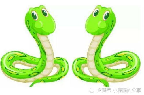 今日运势：属相蛇2018今日运势（生肖蛇今日运程）