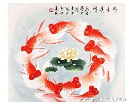 今日运势：属鸡人今日运势最好（属鸡人今日运势算命先生网）