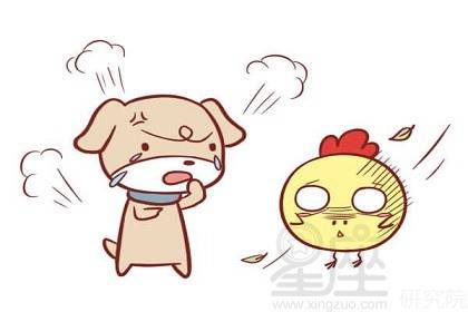 八字合婚：男狗和猪八字合不合婚配（男狗和猪女能结婚吗）