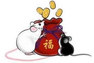 感情运势：属鼠12份感情运势如何（属鼠的人感情运势）