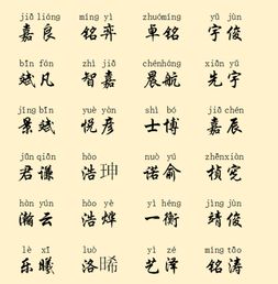 宝宝取名：姓鲁男女的宝宝怎么取名（姓鲁叫什么名字好）
