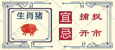今日运势：生肖鸡今日运势兔（生肖鸡今日运势神巴巴）