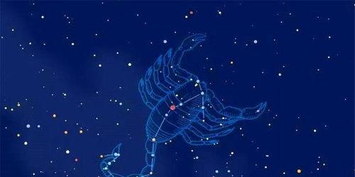 今日运势：麼羯座今日运势（摩羯星座今天运势）