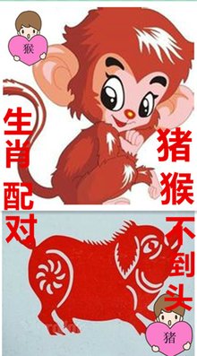 八字合婚：猪男配蛇女八字合不合婚（猪男蛇女相克吗）