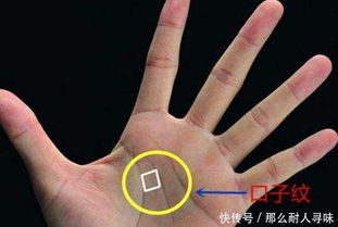 感情运势：感情线长的人运势怎么样（感情线很长好吗）