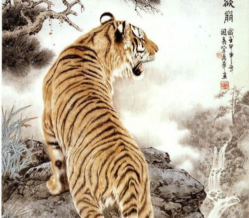 八字合婚：八字虎和鼠合不合婚姻呢（虎和鼠八字怎么样）