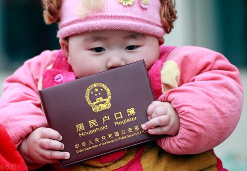宝宝取名：龙年宝宝付姓取名怎么取（付姓龙凤胎取名大全）