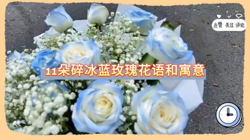 3朵玫瑰花的寓意和花语