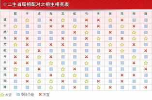 八字合婚：八字合婚子女宫不一致（合婚子女宫相冲）