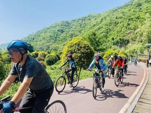 今日运势：今日运势抽签测算方法（今日运势查询抽签）