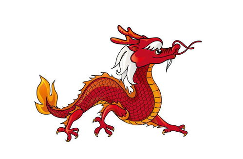 感情运势：2020生肖龙感情运势（2020年属龙爱情运势）