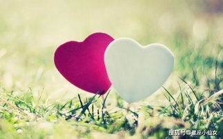 双鱼近期的桃花运势（双鱼近期的桃花运势是什么）