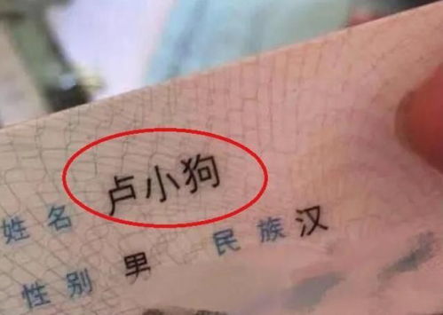 宝宝取名：熊和谭怎么给宝宝取名（熊字怎么取名字）