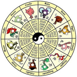 八字合婚：生辰八字龙和鼠合不合婚（属龙和属鼠的八字合适吗）