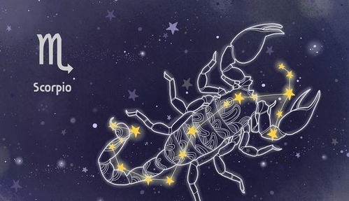 天秤和射手近期星座运势（天秤座和射手座运势）