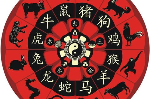 今日运势：死神牌正位今日运势（死神牌正位财运）