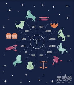 今日运势：十二星座今日学习运势（十二星座今日运势解说）