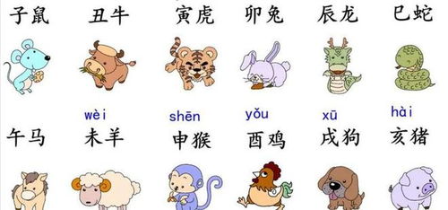 八字合婚：蛇男牛女八字合不合婚姻（蛇男牛女的婚姻怎么样）