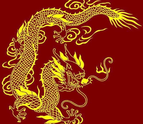 八字合婚：双龙双虎八字合不合婚姻（双龙双虎八字合不合婚姻呢）