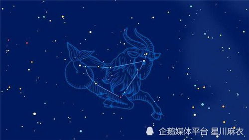 感情运势：摩羯感情运势怎么破解方法（摩羯座在感情中是怎么样的）