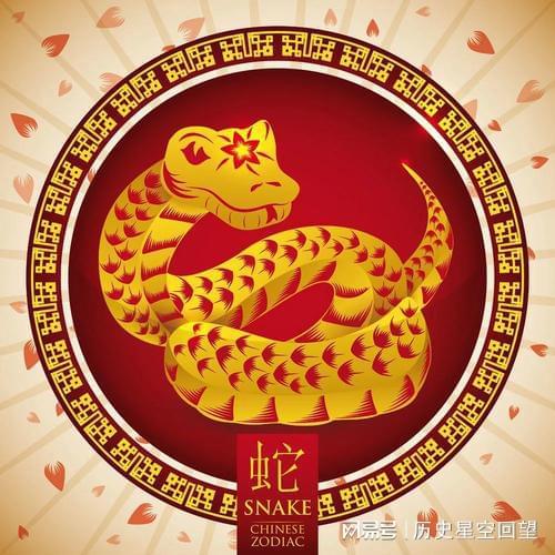 感情运势：属蛇2025年感情运势如何（属蛇2025年运势及运程）