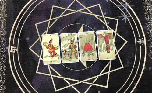 感情运势：星座塔罗牌感情运势女博主（星座运势塔罗牌占卜）