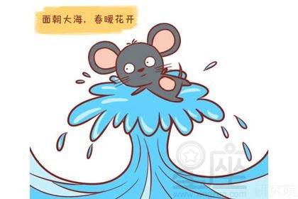 感情运势：属鼠的女人感情运势差（属鼠的女人重感情吗?